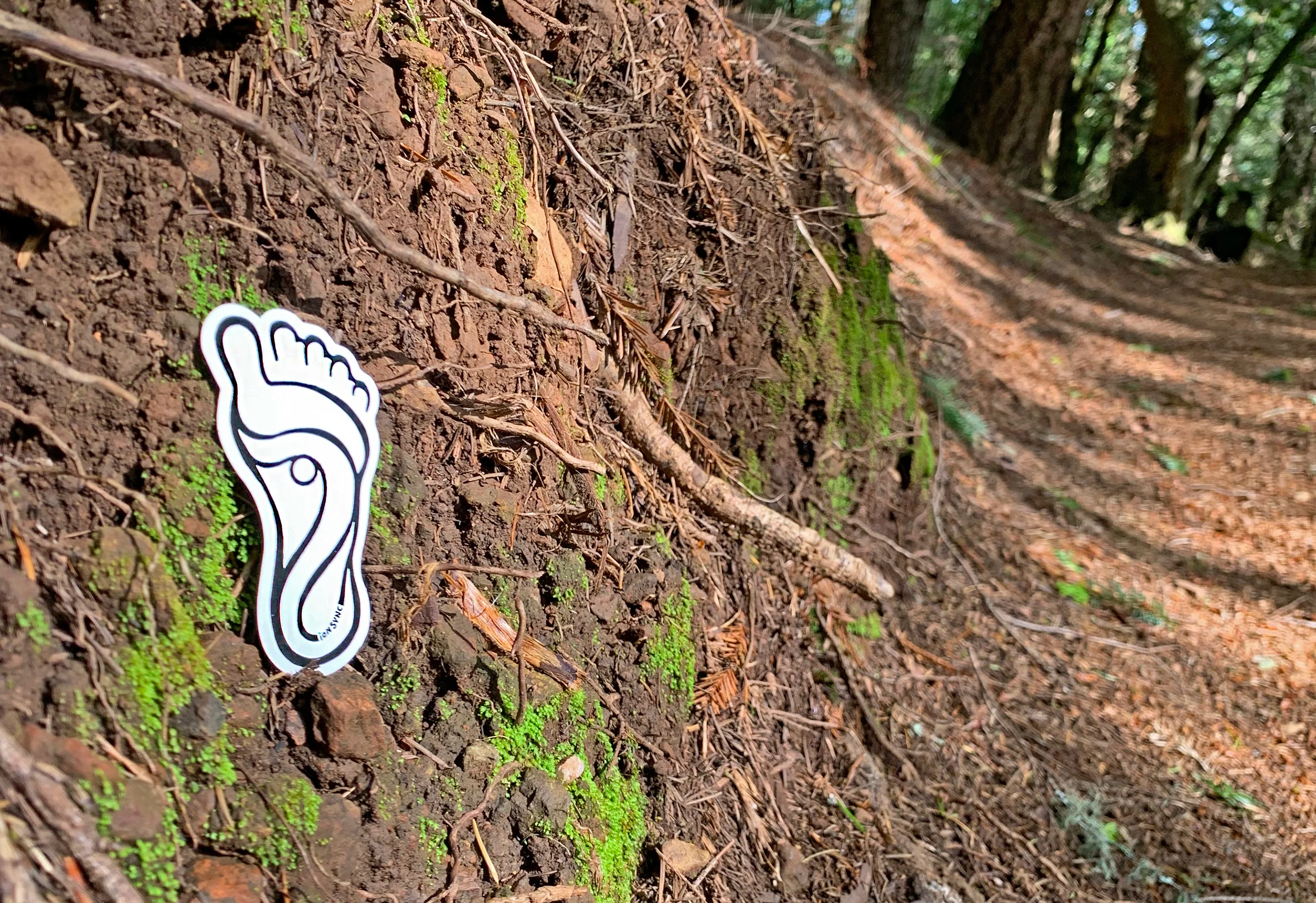 Biofoot Sticker - Image 4