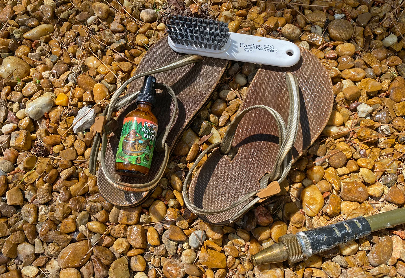 Forest Bathing Elixir - Image 3