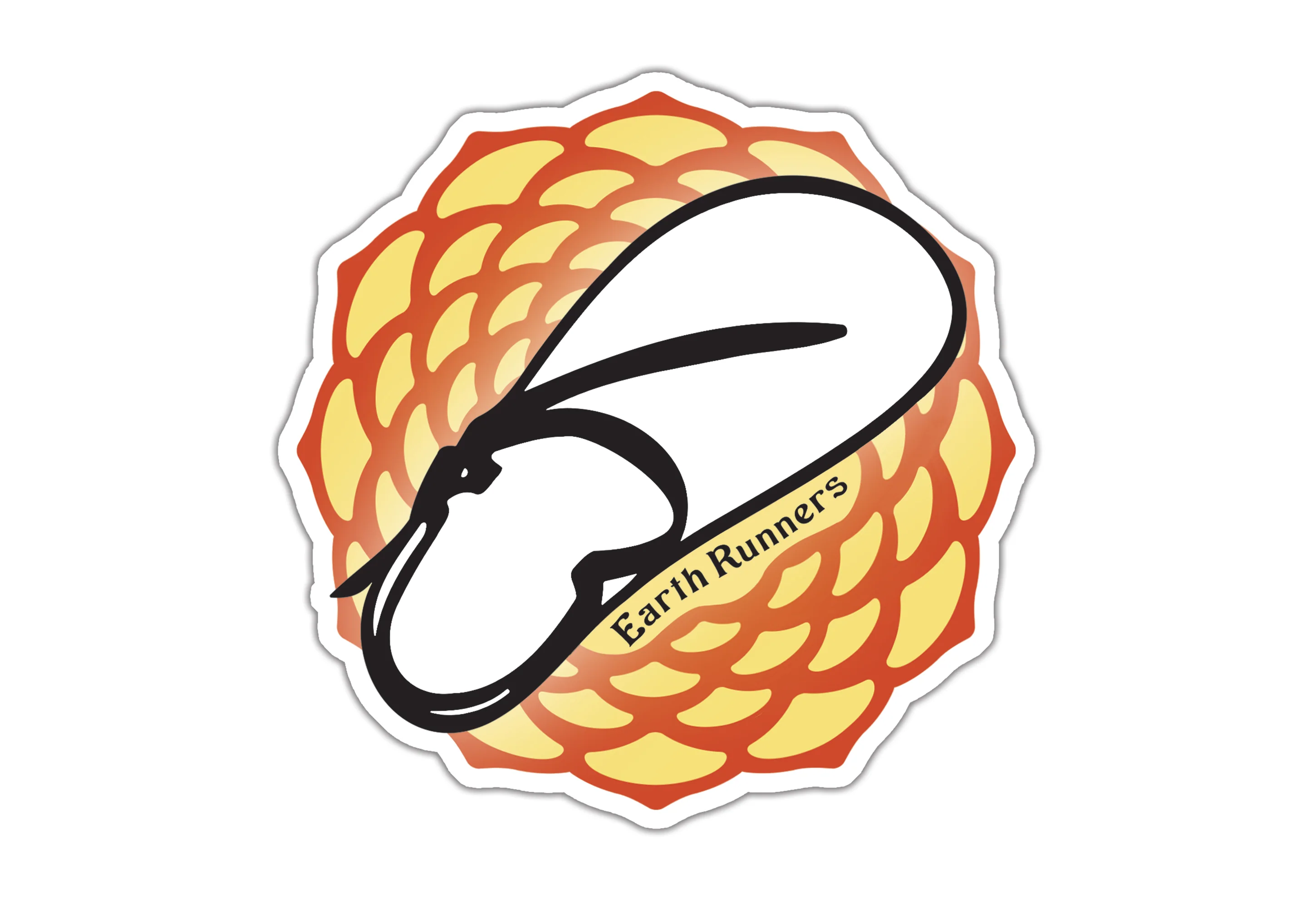 Wholesale Collection