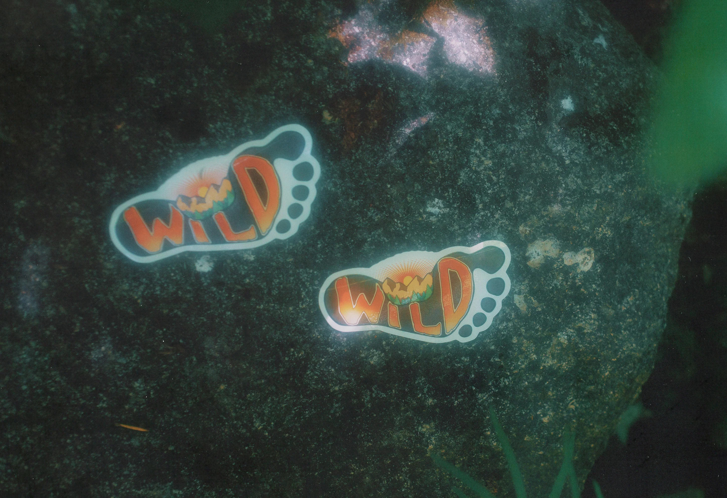 Rewild Your Sole Sticker - Image 3